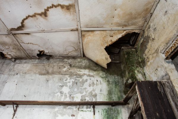 Water Damage Service in Dublin