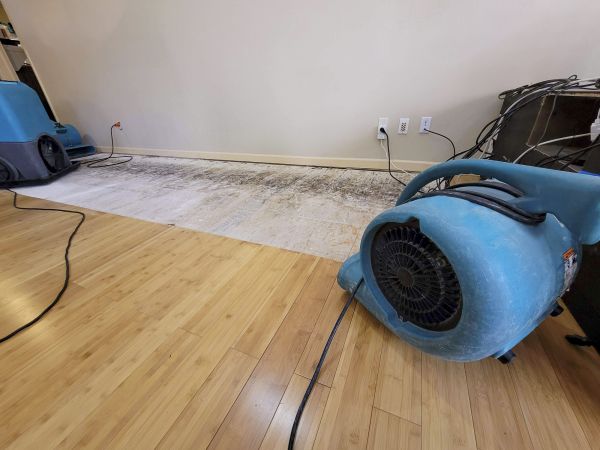 Water Damage Mitigation in Dublin