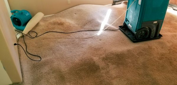 Cost of Flood Damage Cleanup in Dublin