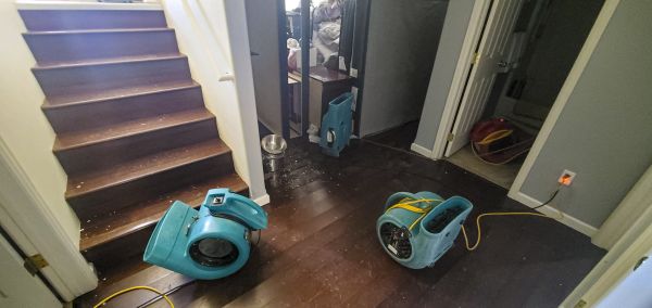 Water Damage Remediation in Dublin