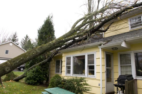 Hurricane Damage Repair in Dublin