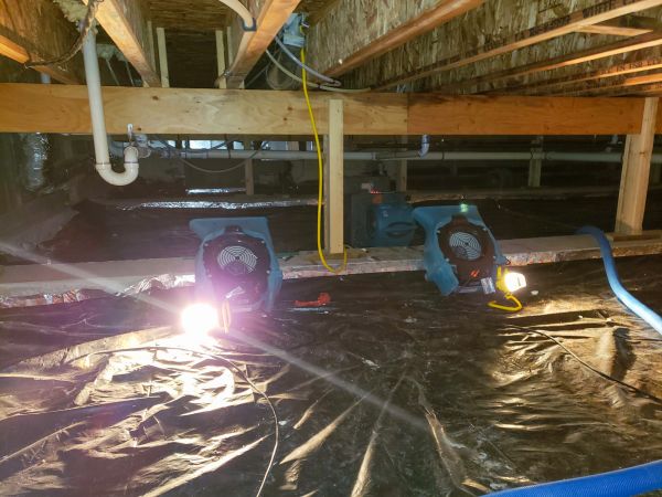 Cost of Crawlspace Water Removal in Dublin