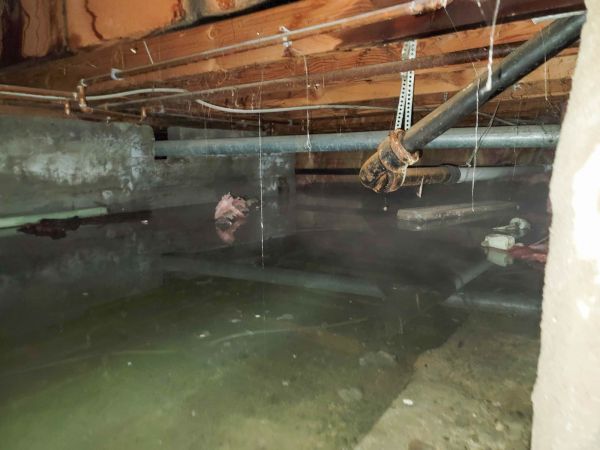 Cost of Crawlspace Water Restoration in Dublin